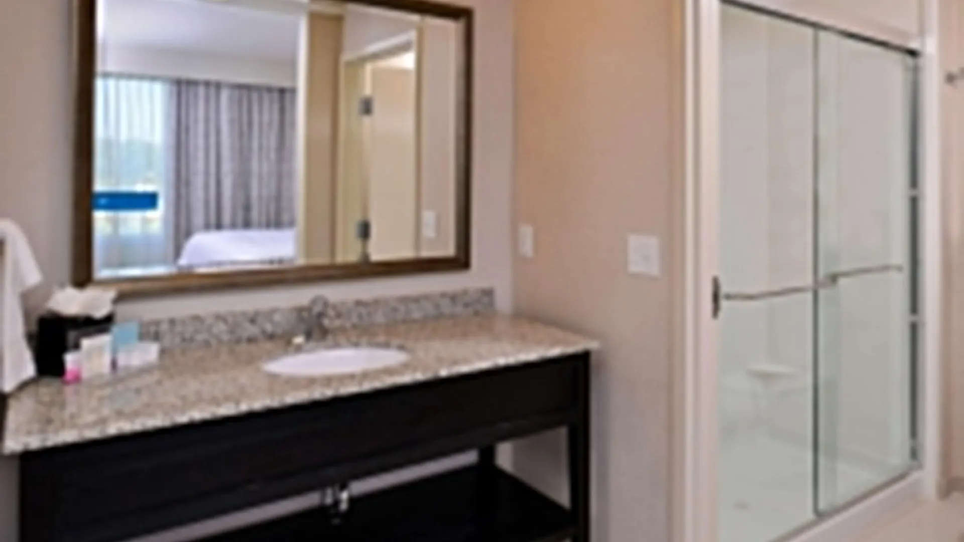 Hampton Inn & Suites Orlando/Downtown South - Medical Center United States