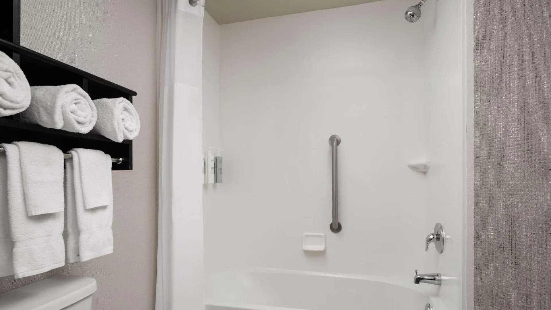 Hotel Hampton Inn & Suites Orlando/Downtown South - Medical Center